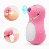 Intense Suction Clitoral Stimulator Female Massager Pink Estimulador Feminino De Seios E Clitâˆšâ‰¥ris 10 Velocidades vibradoras femininos