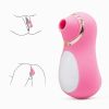 Intense Suction Clitoral Stimulator Female Massager Pink Estimulador Feminino De Seios E Clitâˆšâ‰¥ris 10 Velocidades vibradoras femininos