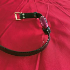 Mouth Blocking Emotional Circle Mouth Blocking Flail Binding (Option: Rose)